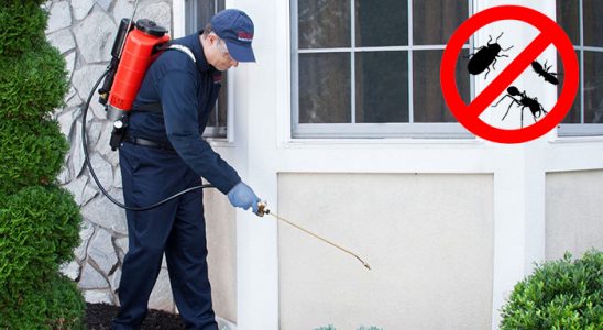 Evka 7 Fare İlaçlama böcek ilaçlama ve haşere kontrolü — ilaclama-tr.com